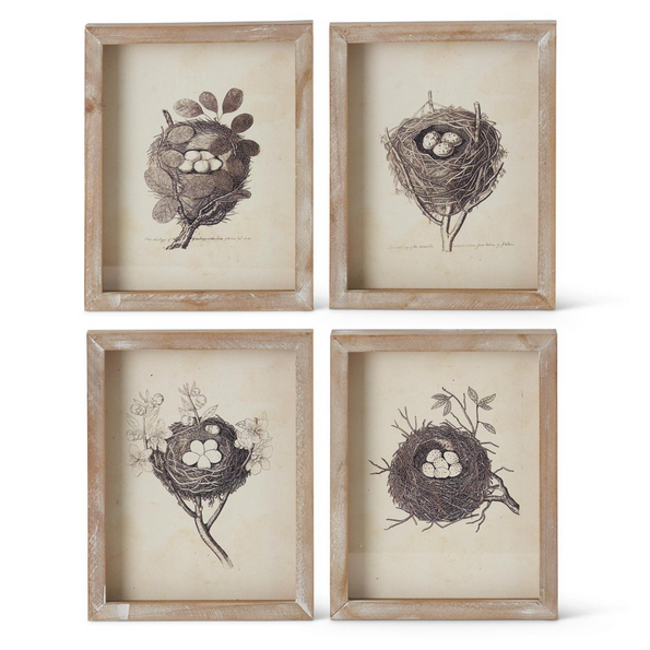 Nature’s Embrace – Framed Nest Artwork