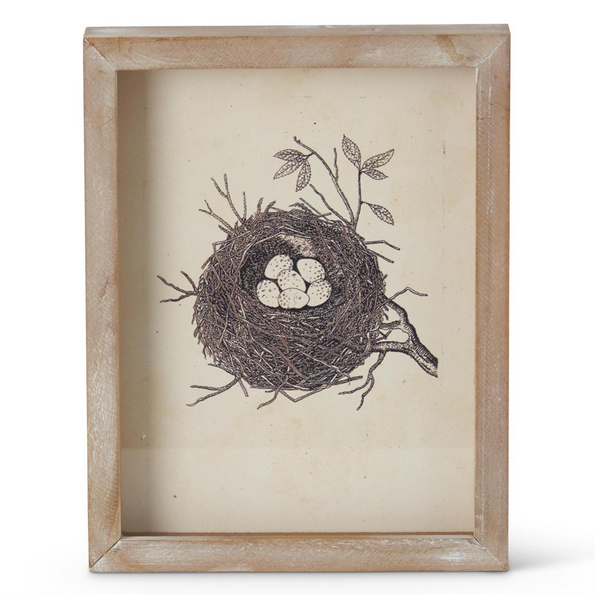 Nature’s Embrace – Framed Nest Artwork