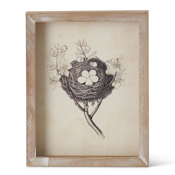 Nature’s Embrace – Framed Nest Artwork