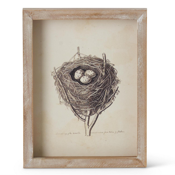 Nature’s Embrace – Framed Nest Artwork