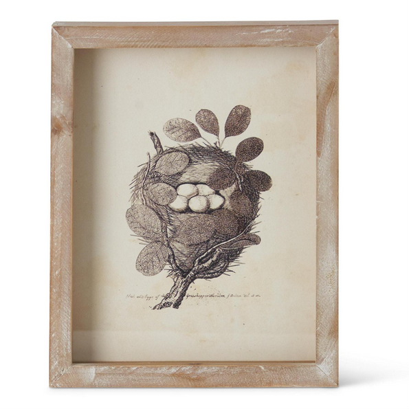 Nature’s Embrace – Framed Nest Artwork